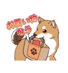 柴犬詩音ちゃんの日常的に使えるスタンプ2（個別スタンプ：9）