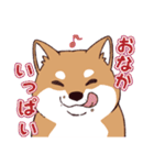 柴犬詩音ちゃんの日常的に使えるスタンプ2（個別スタンプ：11）