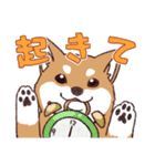 柴犬詩音ちゃんの日常的に使えるスタンプ2（個別スタンプ：18）