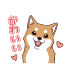 柴犬詩音ちゃんの日常的に使えるスタンプ2（個別スタンプ：28）