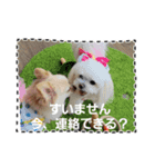 私のLUNA＆SEAスタンプ！！（個別スタンプ：1）