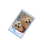 私のLUNA＆SEAスタンプ！！（個別スタンプ：3）