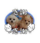 私のLUNA＆SEAスタンプ！！（個別スタンプ：4）