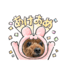 イヴりん♡5（個別スタンプ：1）