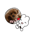 イヴりん♡5（個別スタンプ：2）