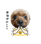 イヴりん♡5（個別スタンプ：3）
