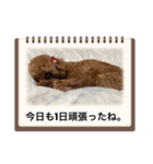 イヴりん♡5（個別スタンプ：4）