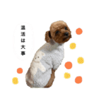 イヴりん♡5（個別スタンプ：13）