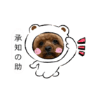 イヴりん♡5（個別スタンプ：14）