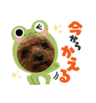 イヴりん♡5（個別スタンプ：16）
