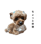 イヴりん♡5（個別スタンプ：18）