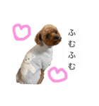 イヴりん♡5（個別スタンプ：20）