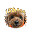 イヴりん♡5（個別スタンプ：21）