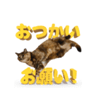 テラしず帰りまスタンプ（個別スタンプ：14）