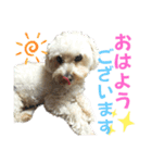 そらちゃんスタンプ·͜·‪⋆（個別スタンプ：13）
