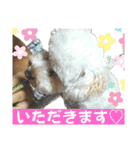 そらちゃんスタンプ·͜·‪⋆（個別スタンプ：14）