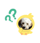 そらちゃんスタンプ·͜·‪⋆（個別スタンプ：16）