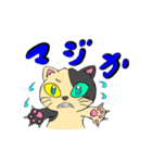 どら猫イラストスタンプ（個別スタンプ：4）