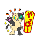 どら猫イラストスタンプ（個別スタンプ：14）