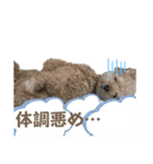 ここあ君のスタンプ（個別スタンプ：28）