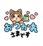 ゆる猫／キナコの日常／スコティッシュ（個別スタンプ：11）