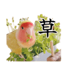 らぶばあああっっど（個別スタンプ：2）