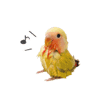 らぶばあああっっど（個別スタンプ：3）