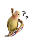 らぶばあああっっど（個別スタンプ：4）