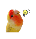 らぶばあああっっど（個別スタンプ：6）