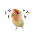 らぶばあああっっど（個別スタンプ：10）