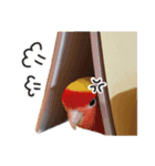 らぶばあああっっど（個別スタンプ：14）