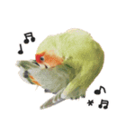 らぶばあああっっど（個別スタンプ：15）