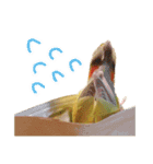 らぶばあああっっど（個別スタンプ：16）