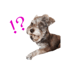すこやかdog（個別スタンプ：2）