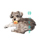 すこやかdog（個別スタンプ：4）