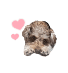 すこやかdog（個別スタンプ：9）