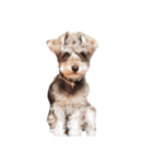 すこやかdog（個別スタンプ：12）