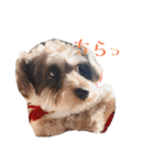 すこやかdog（個別スタンプ：14）