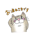 たまーに博多弁ば喋るねこ（個別スタンプ：1）