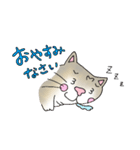 たまーに博多弁ば喋るねこ（個別スタンプ：3）