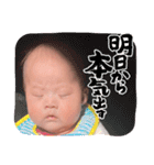 うる羊ちゃん（個別スタンプ：12）