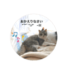優しい猫に癒やされるスタンプ（個別スタンプ：18）