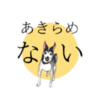リオくんFGM（個別スタンプ：5）