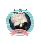 猫のお時間にゃ〜（個別スタンプ：1）