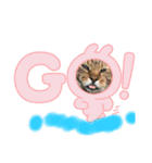 猫のお時間にゃ〜（個別スタンプ：2）