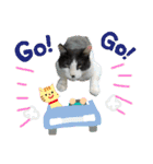 猫のお時間にゃ〜（個別スタンプ：13）