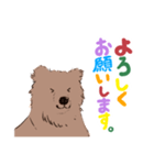 ヨークマの日常スタンプ（個別スタンプ：6）