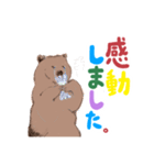 ヨークマの日常スタンプ（個別スタンプ：15）