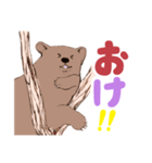 ヨークマの日常スタンプ（個別スタンプ：27）