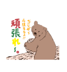 ヨークマの日常スタンプ（個別スタンプ：35）